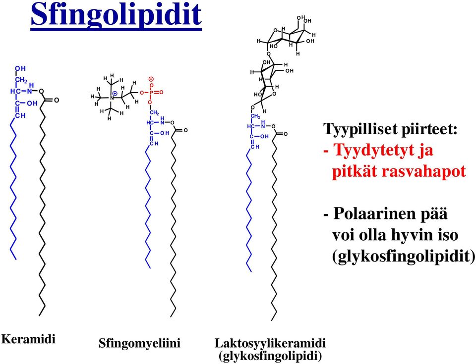 Polaarinen pää voi olla hyvin iso (glykosfingolipidit)