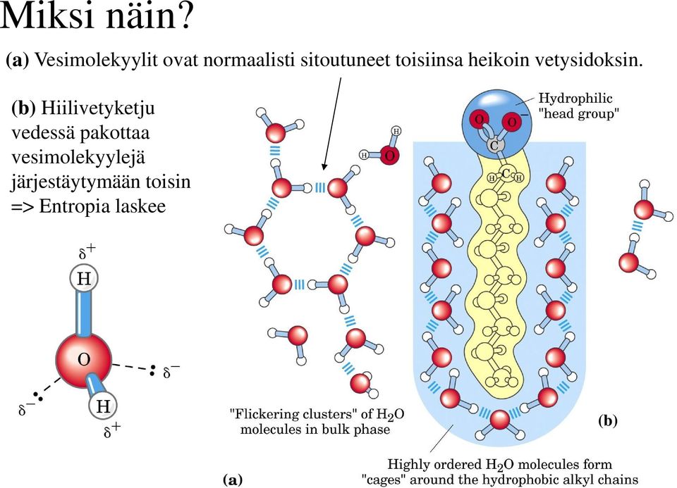 sitoutuneet toisiinsa heikoin vetysidoksin.