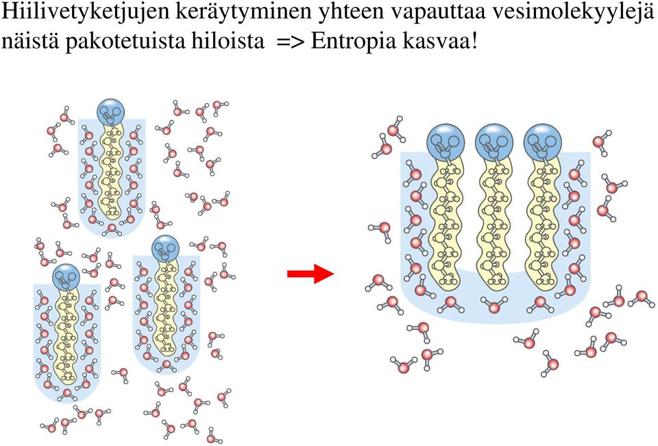 vapauttaa vesimolekyylejä