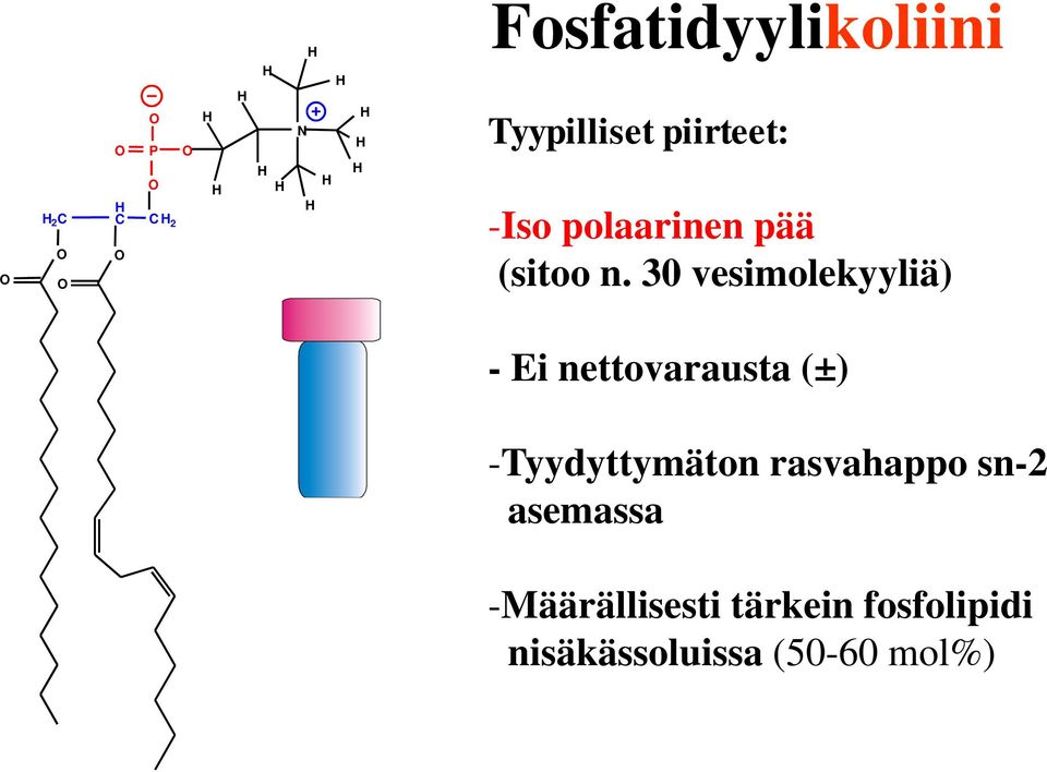 30 vesimolekyyliä) - Ei nettovarausta (±) -Tyydyttymäton