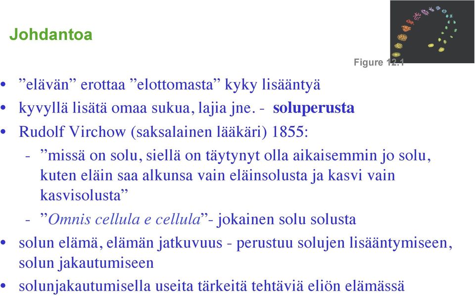 saa alkunsa vain eläinsolusta ja kasvi vain kasvisolusta - Omnis cellula e cellula - jokainen solu solusta solun elämä,