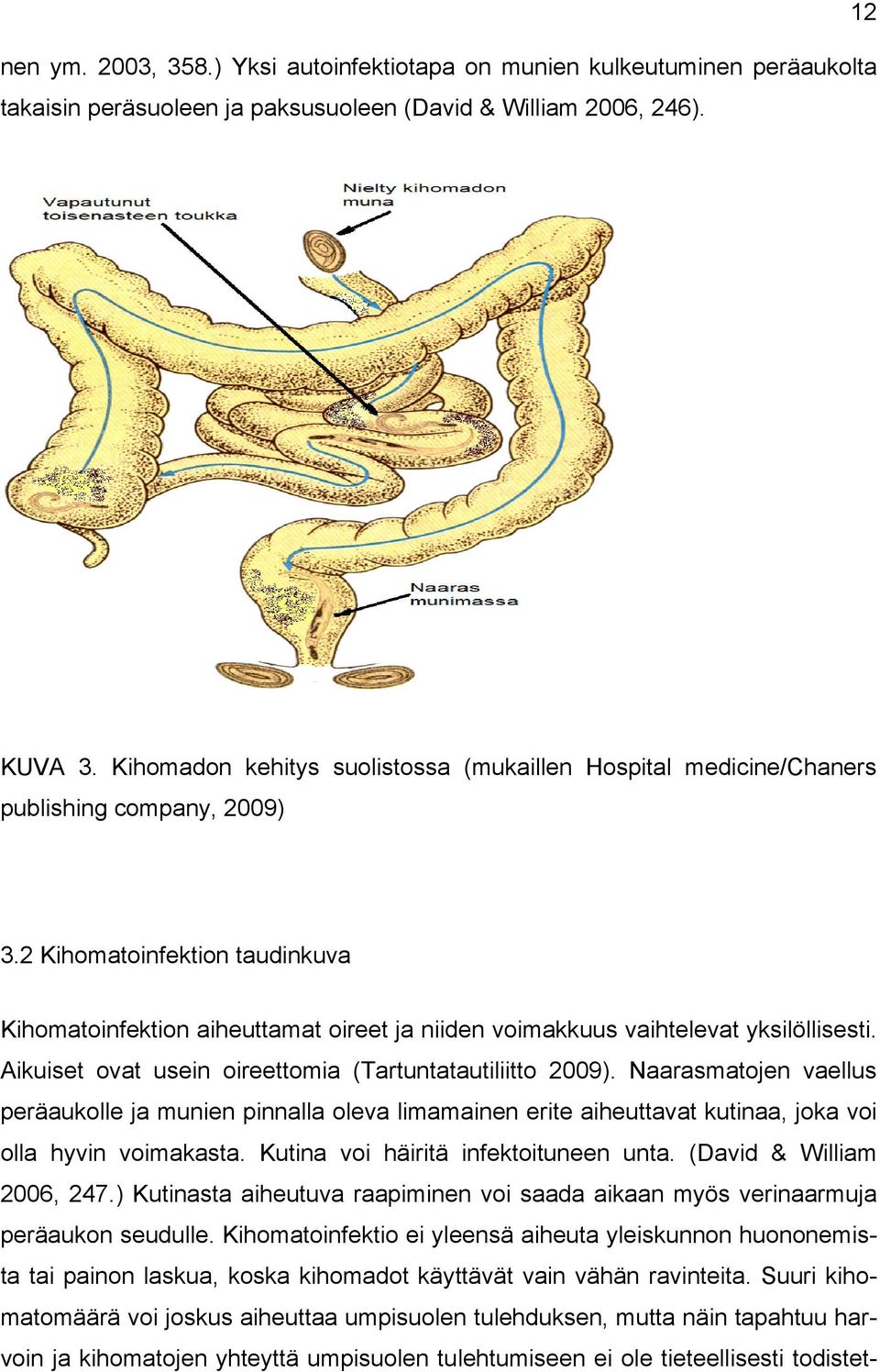 2 Kihomatoinfektion taudinkuva Kihomatoinfektion aiheuttamat oireet ja niiden voimakkuus vaihtelevat yksilöllisesti. Aikuiset ovat usein oireettomia (Tartuntatautiliitto 2009).