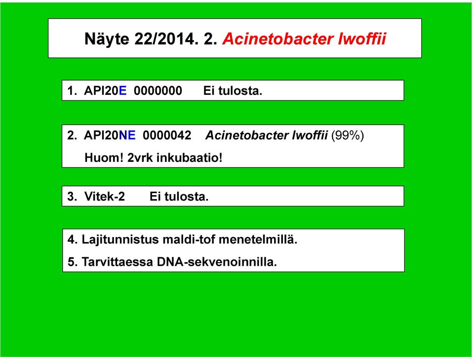 API20NE 0000042 Acinetobacter lwoffii (99%) Huom!