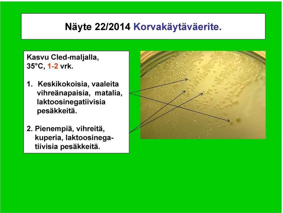 2 vrk. 1.