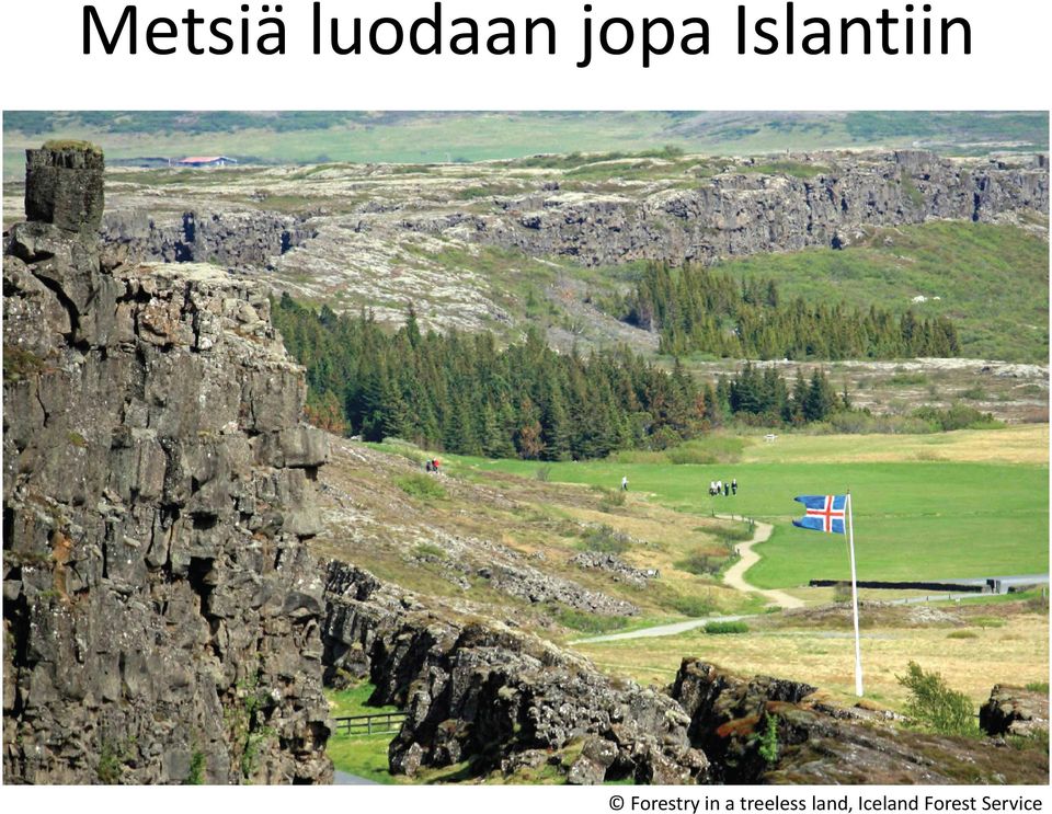 in a treeless land,