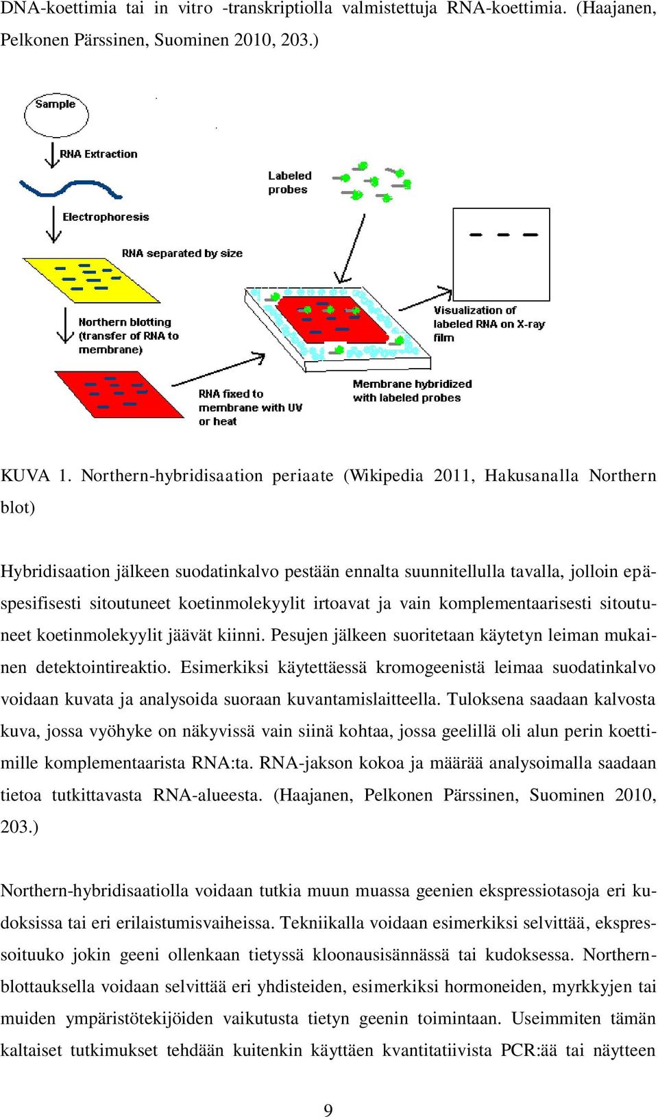 koetinmolekyylit irtoavat ja vain komplementaarisesti sitoutuneet koetinmolekyylit jäävät kiinni. Pesujen jälkeen suoritetaan käytetyn leiman mukainen detektointireaktio.