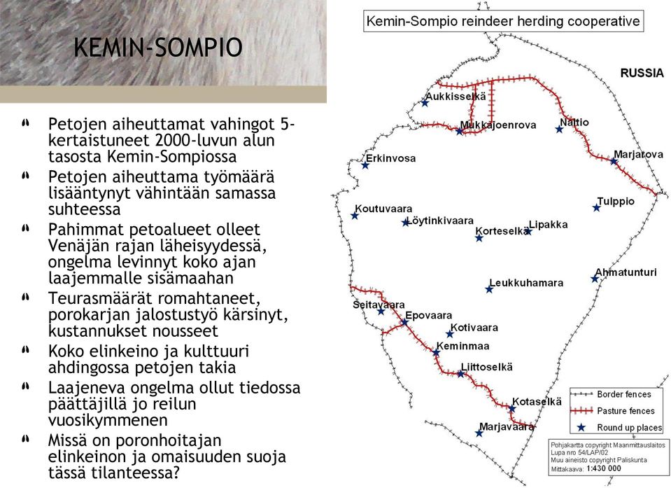 sisämaahan Teurasmäärät romahtaneet, porokarjan jalostustyö kärsinyt, kustannukset nousseet Koko elinkeino ja kulttuuri ahdingossa