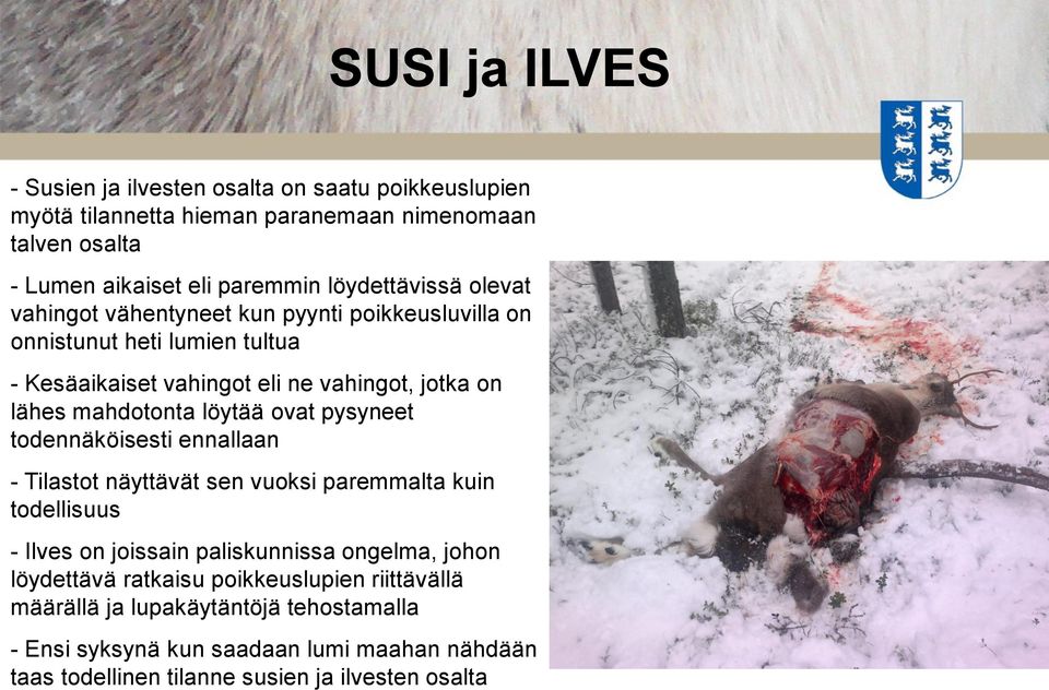 mahdotonta löytää ovat pysyneet todennäköisesti ennallaan - Tilastot näyttävät sen vuoksi paremmalta kuin todellisuus - Ilves on joissain paliskunnissa ongelma,