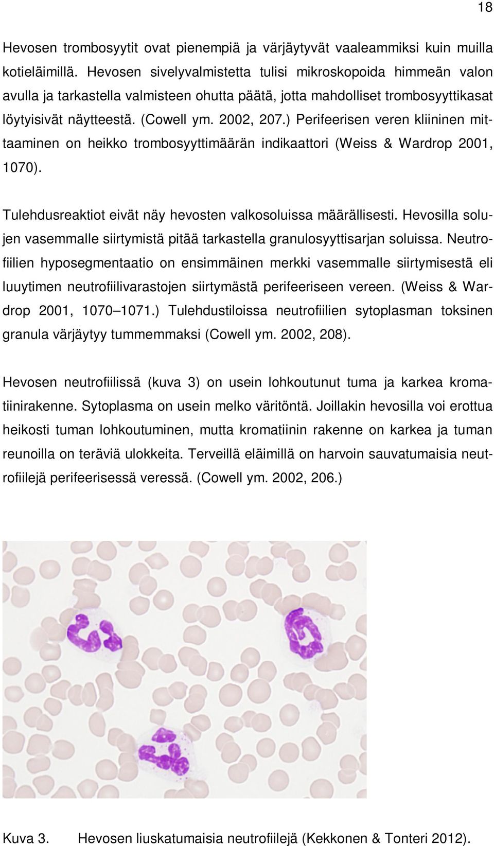 ) Perifeerisen veren kliininen mittaaminen on heikko trombosyyttimäärän indikaattori (Weiss & Wardrop 2001, 1070). Tulehdusreaktiot eivät näy hevosten valkosoluissa määrällisesti.