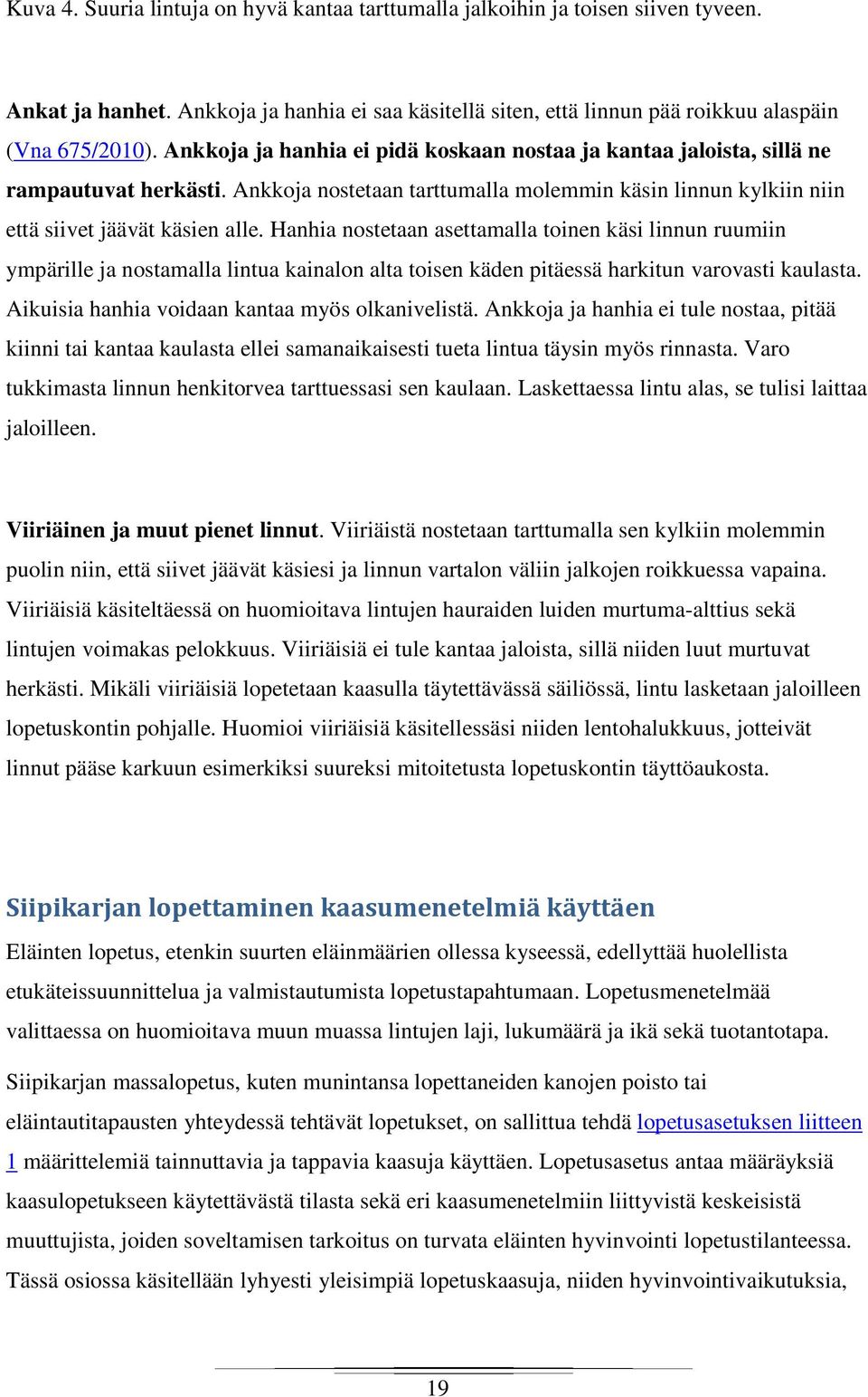 Hanhia nostetaan asettamalla toinen käsi linnun ruumiin ympärille ja nostamalla lintua kainalon alta toisen käden pitäessä harkitun varovasti kaulasta.