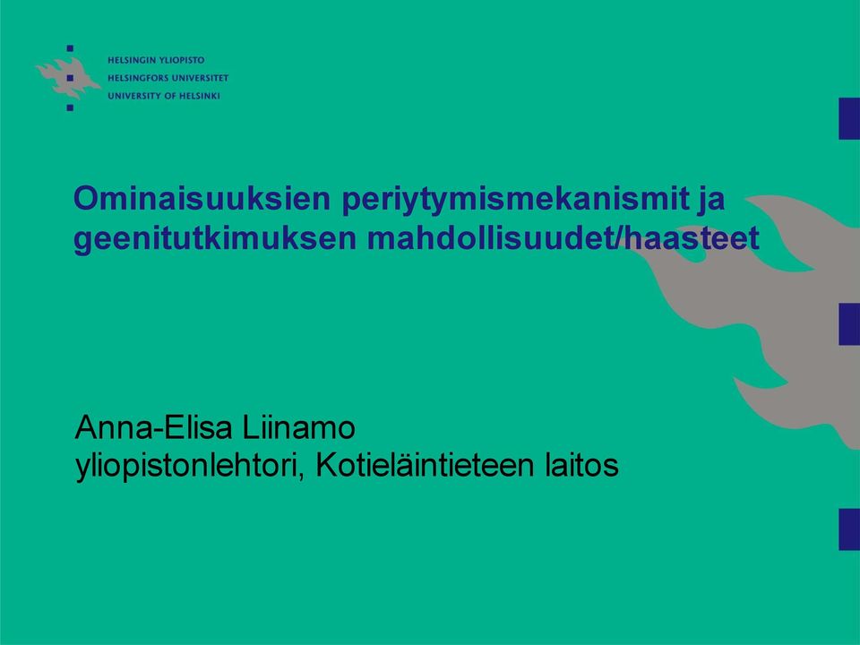 mahdollisuudet/haasteet Anna-Elisa