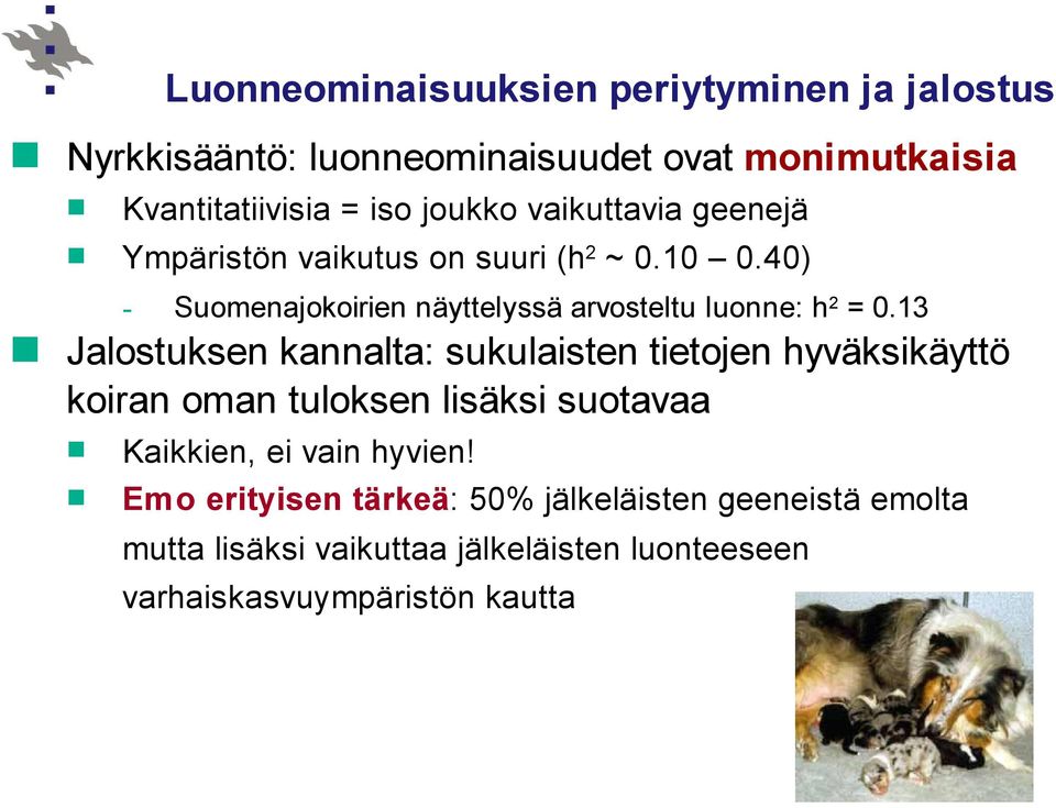 13 Jalostuksen kannalta: sukulaisten tietojen hyväksikäyttö koiran oman tuloksen lisäksi suotavaa Kaikkien, ei vain hyvien!