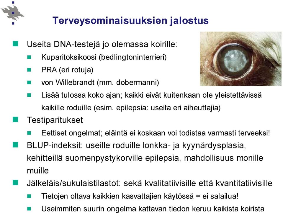 epilepsia: useita eri aiheuttajia) Testiparitukset Eettiset ongelmat; eläintä ei koskaan voi todistaa varmasti terveeksi!