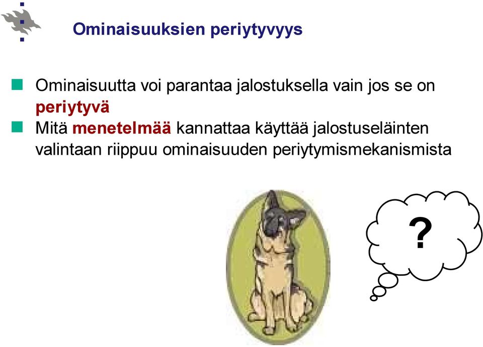 Mitä menetelmää kannattaa käyttää