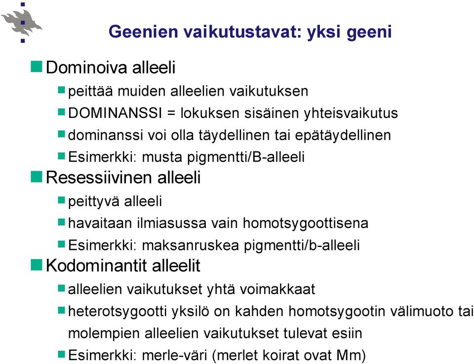 ilmiasussa vain homotsygoottisena Esimerkki: maksanruskea pigmentti/b-alleeli Kodominantit alleelit alleelien vaikutukset yhtä voimakkaat