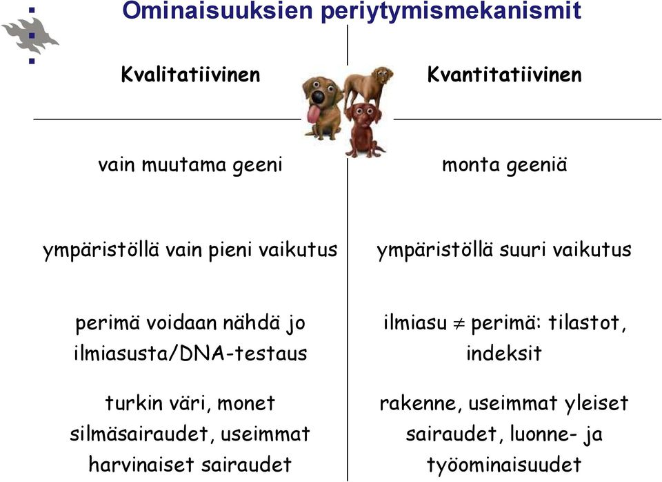 ilmiasusta/dna-testaus turkin väri, monet silmäsairaudet, useimmat harvinaiset sairaudet