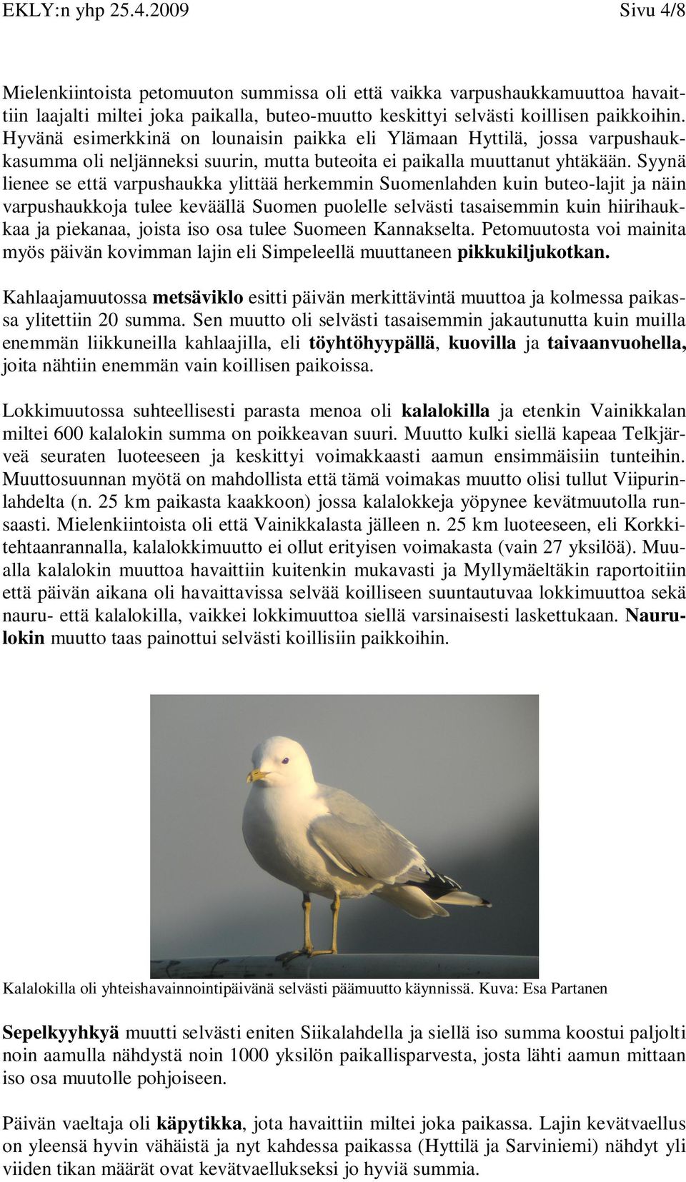 Syynä lienee se että varpushaukka ylittää herkemmin Suomenlahden kuin buteo-lajit ja näin varpushaukkoja tulee keväällä Suomen puolelle selvästi tasaisemmin kuin hiirihaukkaa ja piekanaa, joista iso