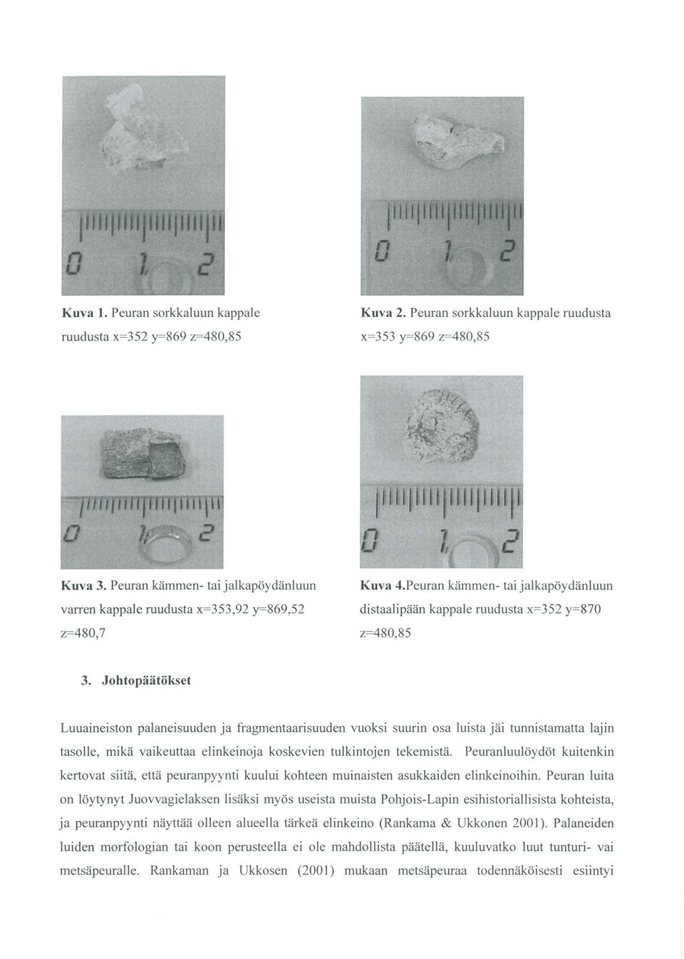 Johtopäätökset Luuaineiston palaneisuuden ja fragmentaarisuuden vuoksi suurin osa luista jäi tunnistamatta lajin tasolle, mikä vaikeuttaa elinkeinoja koskevien tulkintojen tekemistä.