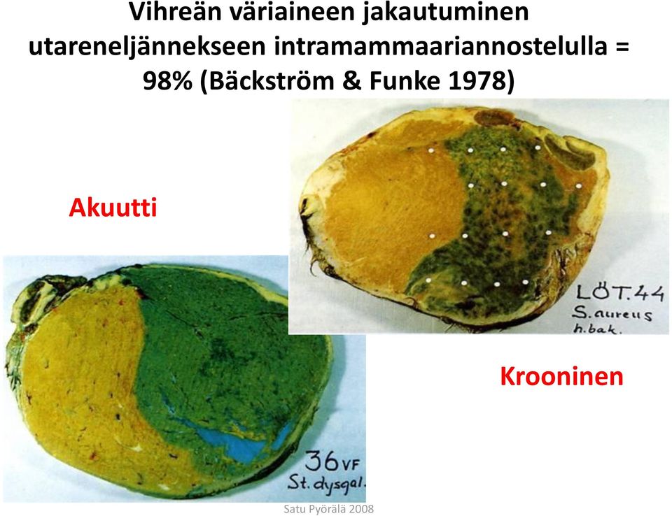 intramammaariannostelulla = 98%