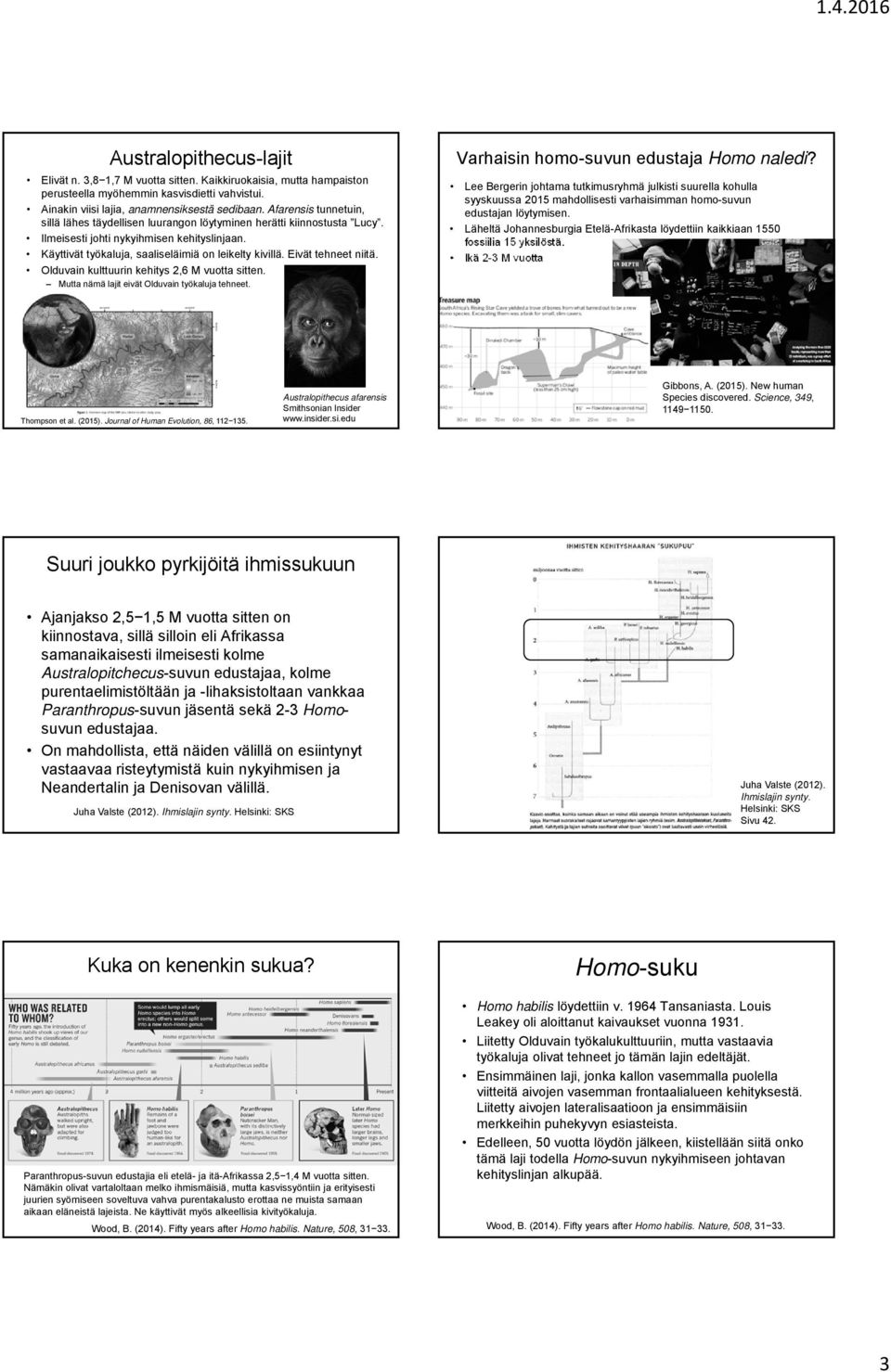 Eivät tehneet niitä. Olduvain kulttuurin kehitys 2,6 M vuotta sitten. Mutta nämä lajit eivät Olduvain työkaluja tehneet. Varhaisin homo-suvun edustaja Homo naledi?