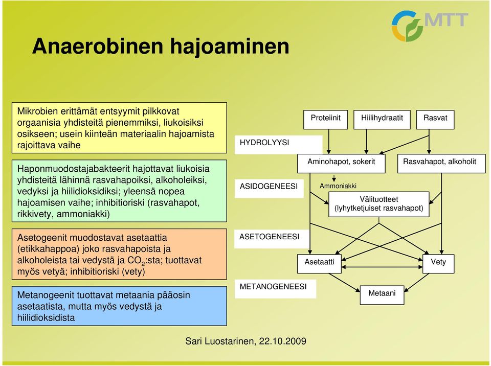 (rasvahapot, rikkivety, ammoniakki) ASIDOGENEESI Aminohapot, sokerit Ammoniakki Välituotteet (lyhytketjuiset rasvahapot) Rasvahapot, alkoholit Asetogeenit muodostavat asetaattia (etikkahappoa) joko