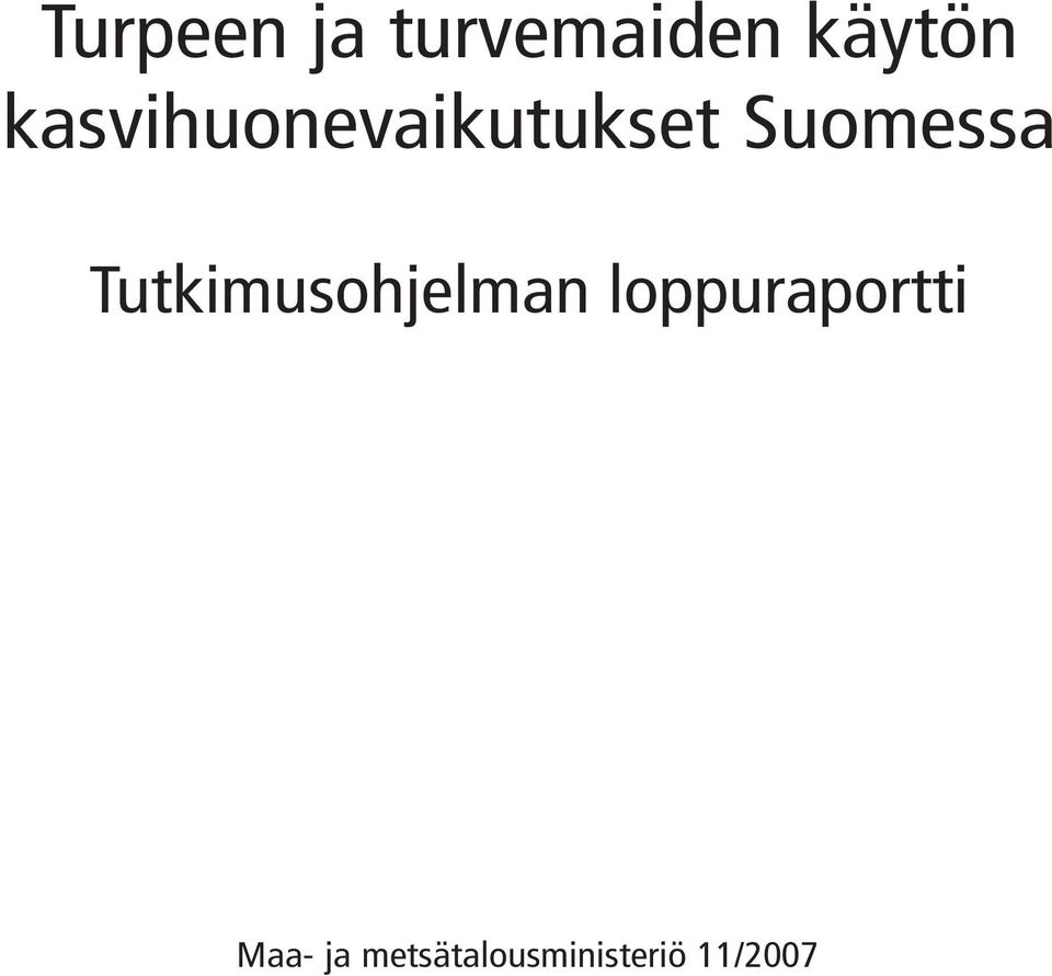 Tutkimusohjelman loppuraportti