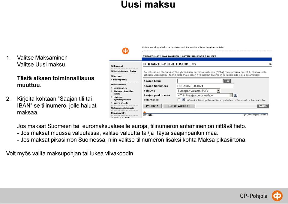 Jos maksat Suomeen tai euromaksualueelle euroja, tilinumeron antaminen on riittävä tieto.