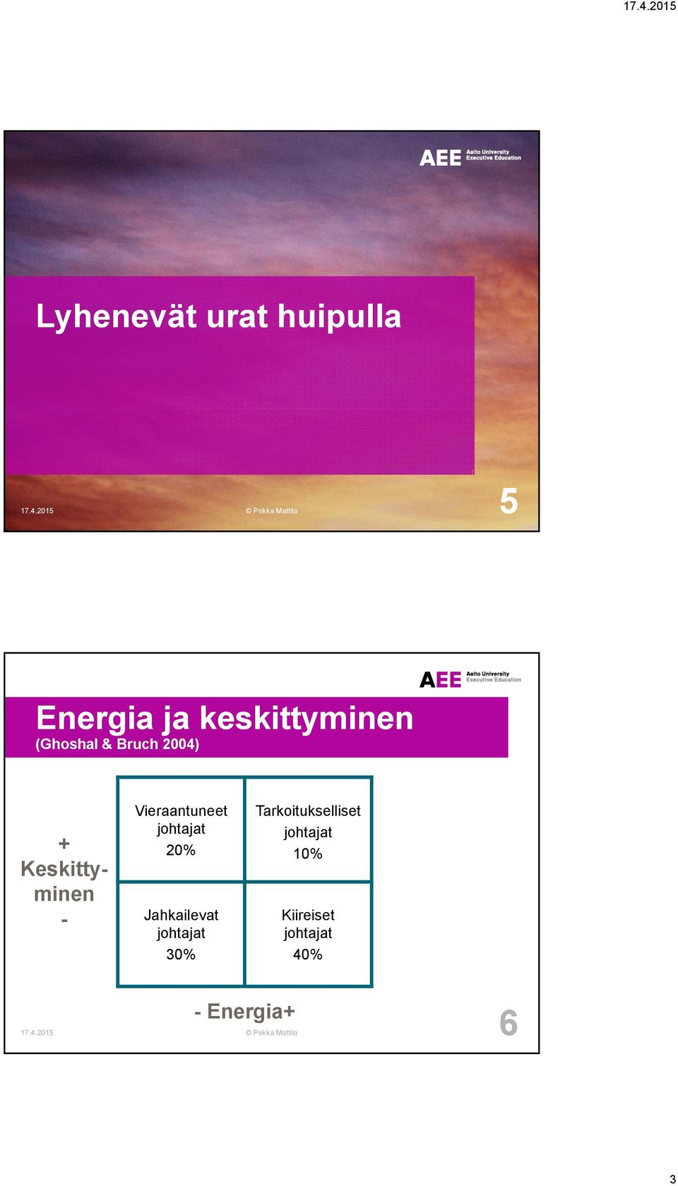 2004) + Keskittyminen - Vieraantuneet johtajat 20% Jahkailevat