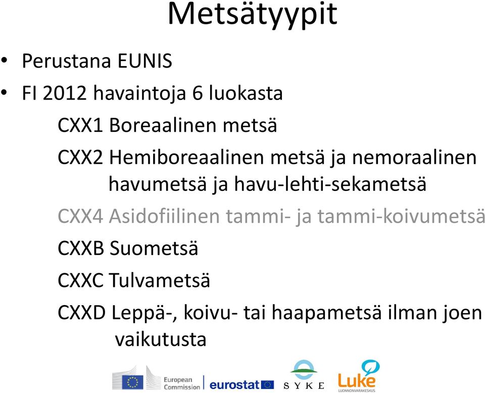 havu-lehti-sekametsä CXX4 Asidofiilinen tammi- ja tammi-koivumetsä CXXB