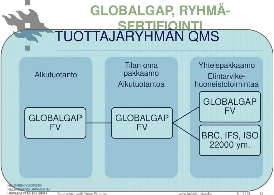 Alkutuotantoa GLOBALGAP FV Yhteispakkaamo