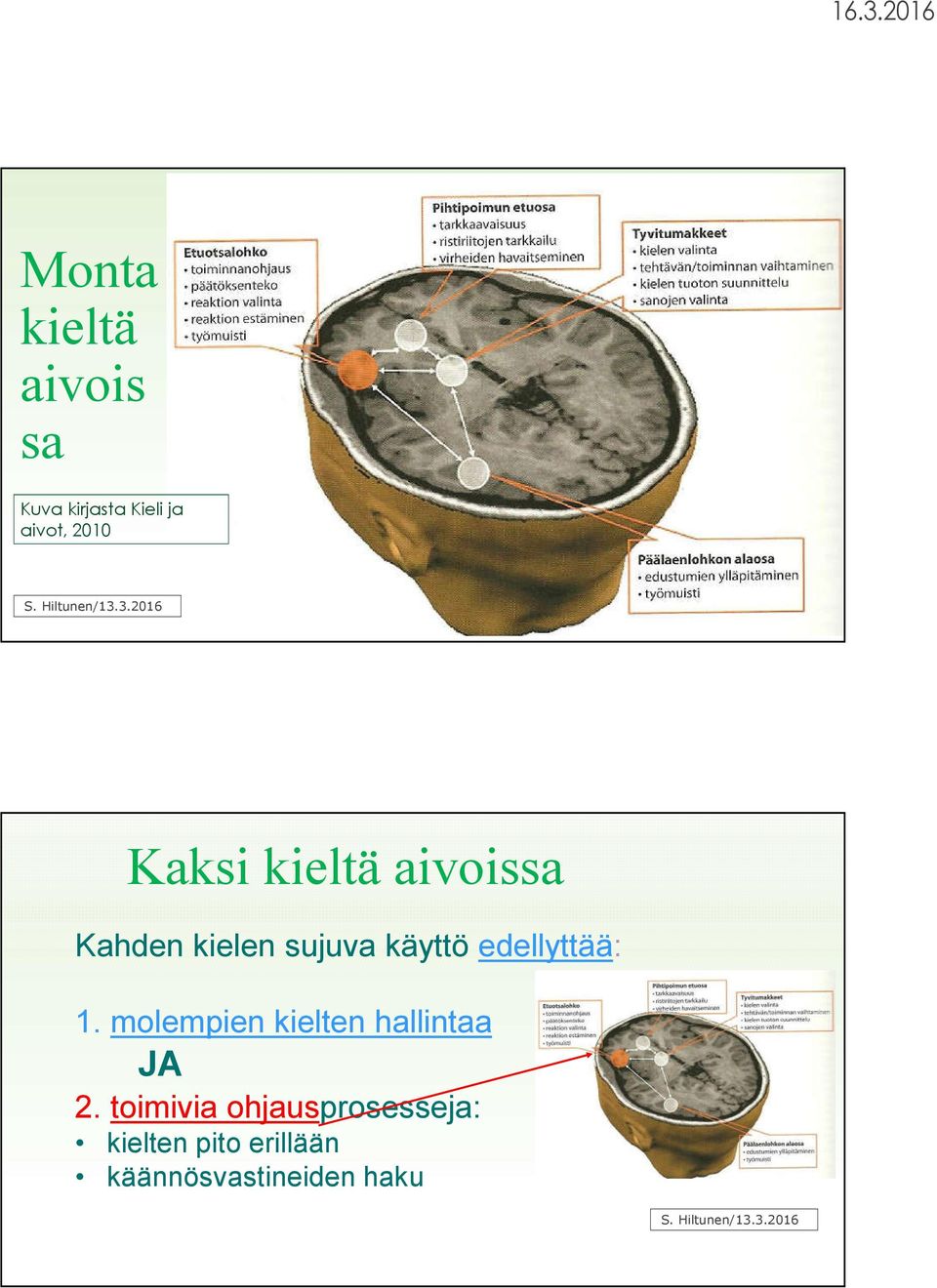 3.2016 Kaksi kieltä aivoissa Kahden kielen sujuva käyttö edellyttää: