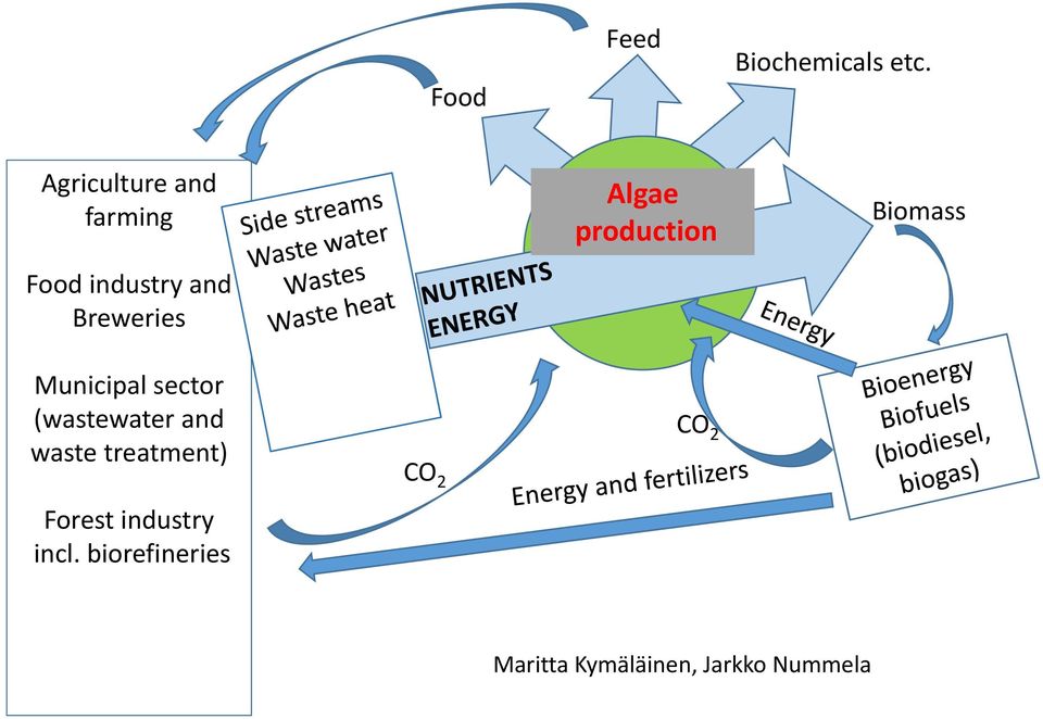 production Biomass Municipal sector (wastewater and waste