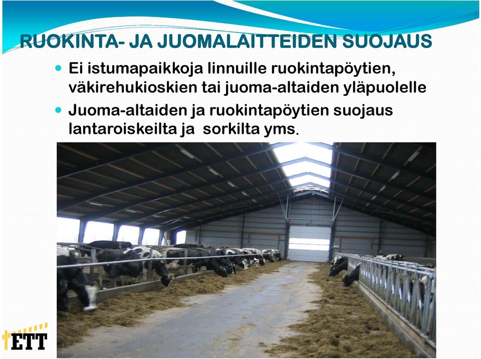 väkirehukioskien tai juoma-altaiden yläpuolelle