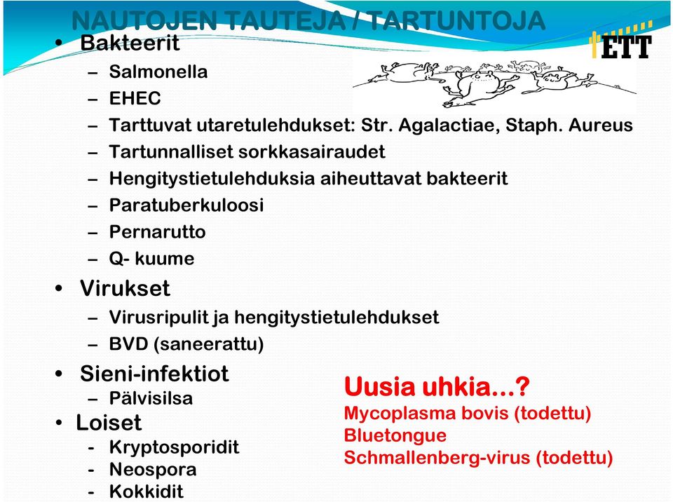 Q- kuume Virukset Virusripulit ja hengitystietulehdukset BVD (saneerattu) Sieni-infektiot Pälvisilsa Loiset -