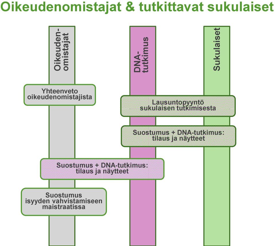 tutkimisesta Suostumus + DNA-tutkimus: tilaus ja näytteet Suostumus +