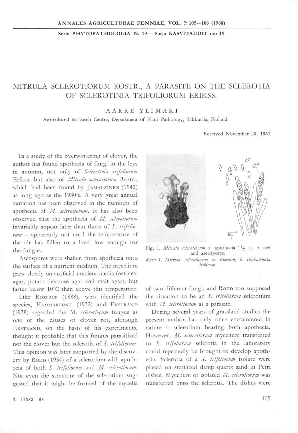 fungi in the leys in autumn, not only of Sclerotinia trifoliorum Erikss. but also of Mitrula sclerotiorum Rostr., which had been found by JAMALAINEN (1942) as long ago as the 1930's.