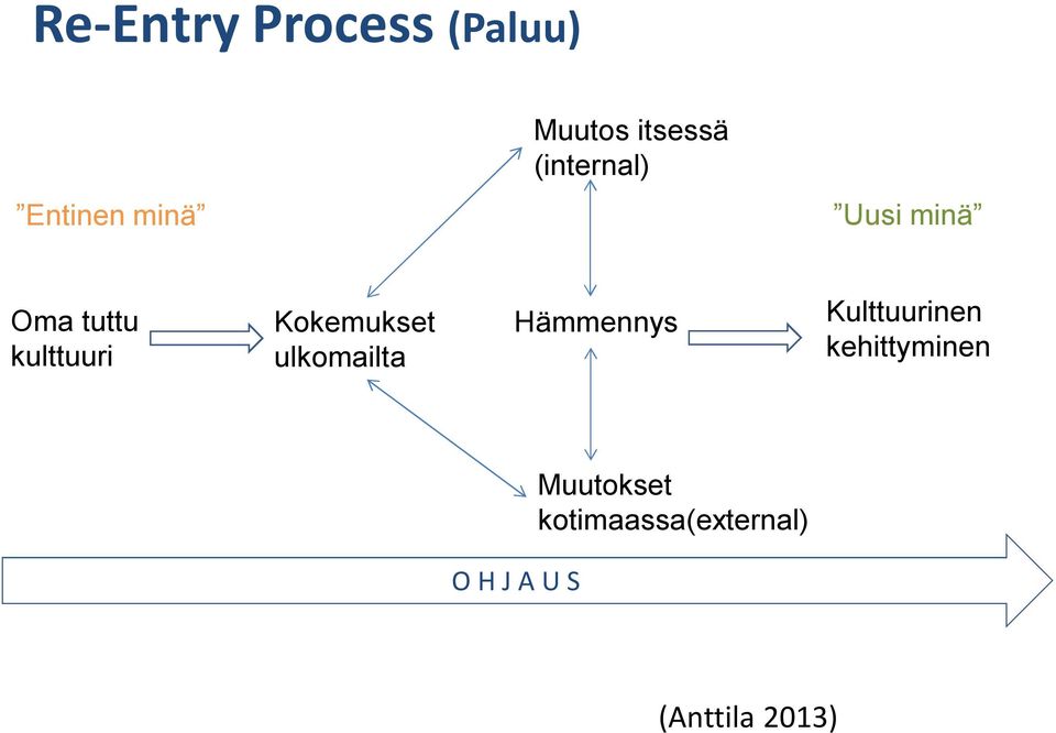 Kokemukset ulkomailta Hämmennys Kulttuurinen