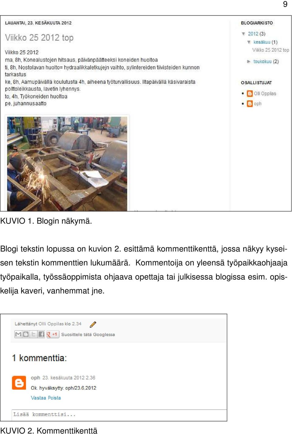 Kommentoija on yleensä työpaikkaohjaaja työpaikalla, työssäoppimista ohjaava