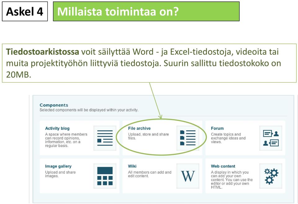 Excel-tiedostoja, videoita tai muita