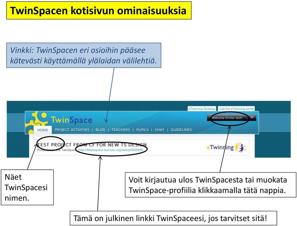 Näet TwinSpacesi nimen.