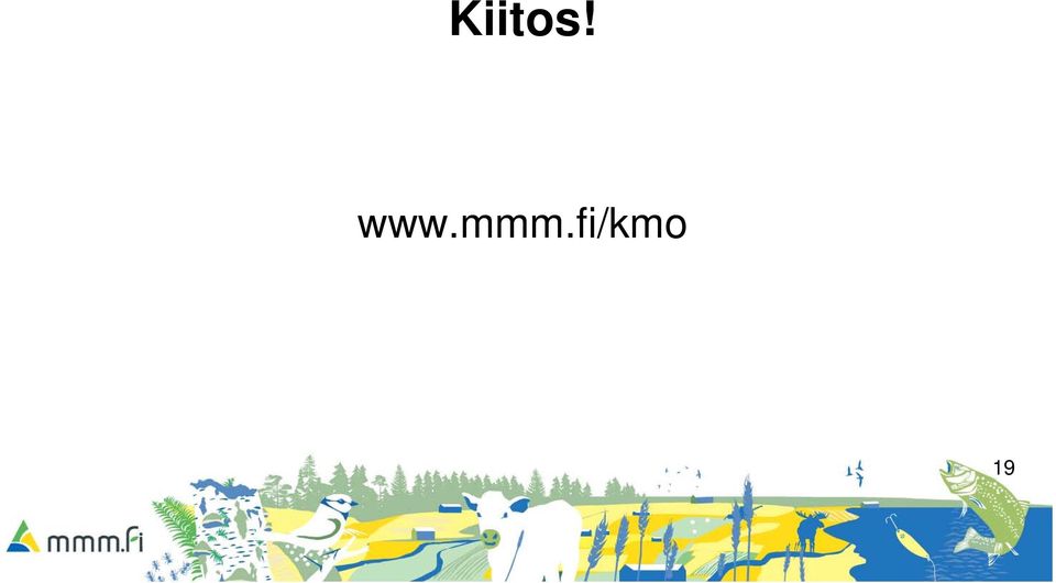 fi/kmo 19