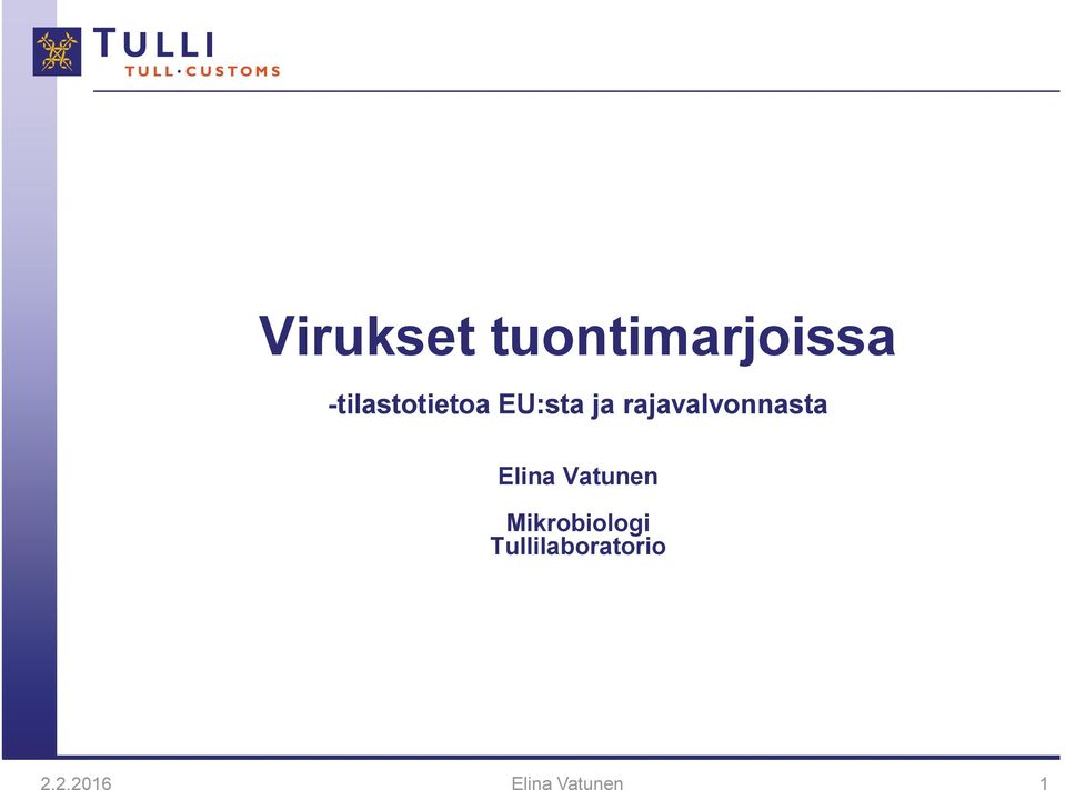 rajavalvonnasta Elina Vatunen