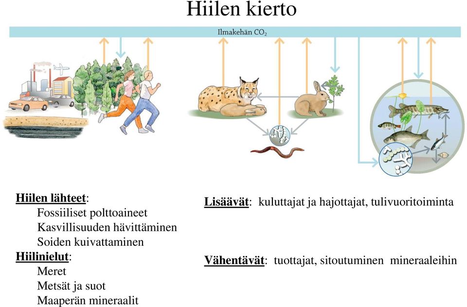 Meret Metsät ja suot Maaperän mineraalit Lisäävät: kuluttajat ja