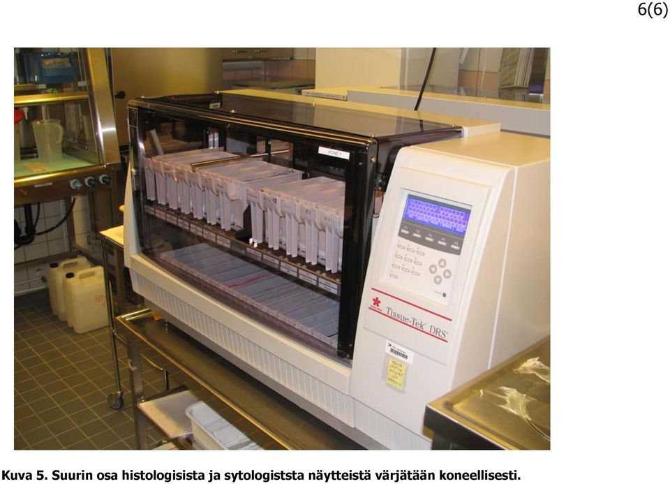 histologisista ja