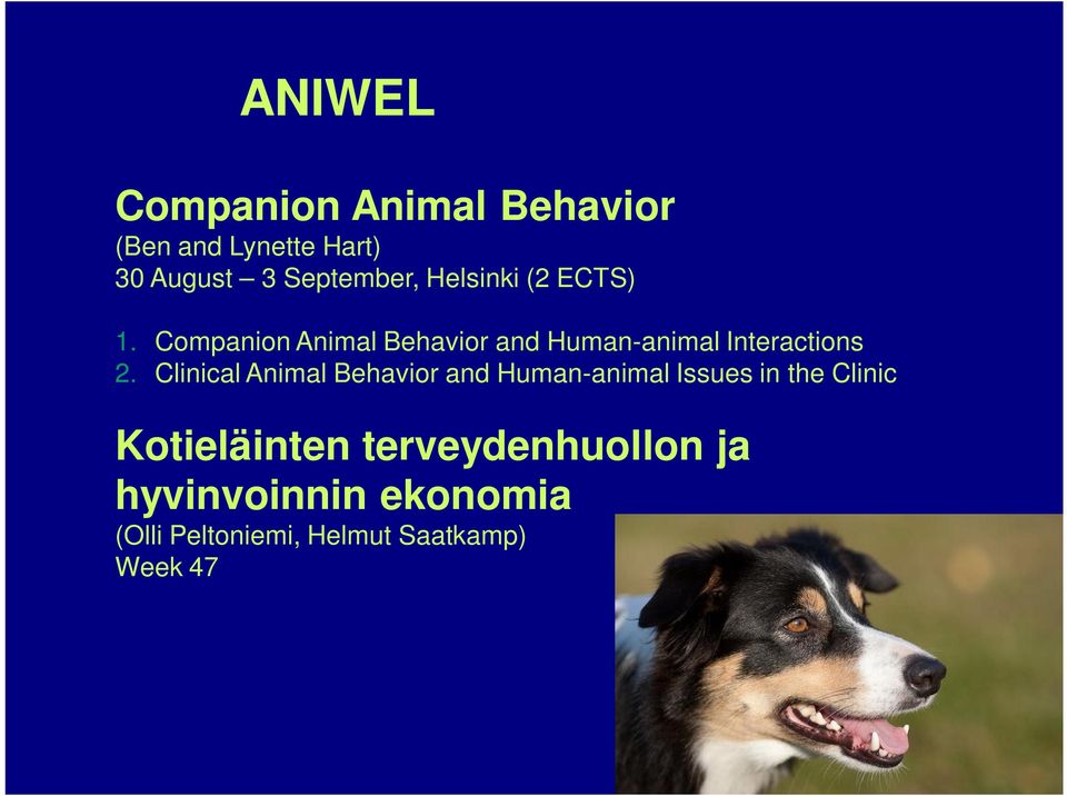 Clinical Animal Behavior and Human-animal Issues in the Clinic Kotieläinten