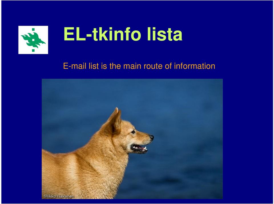 list is the
