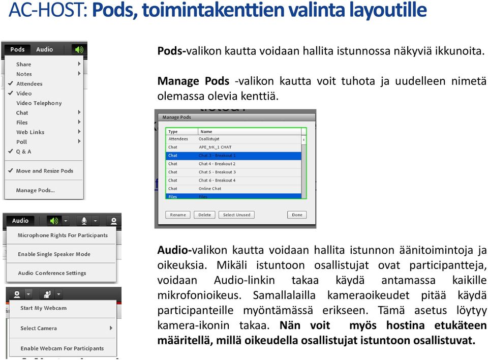 Audio-valikon kautta voidaan hallita istunnon äänitoimintoja ja oikeuksia.