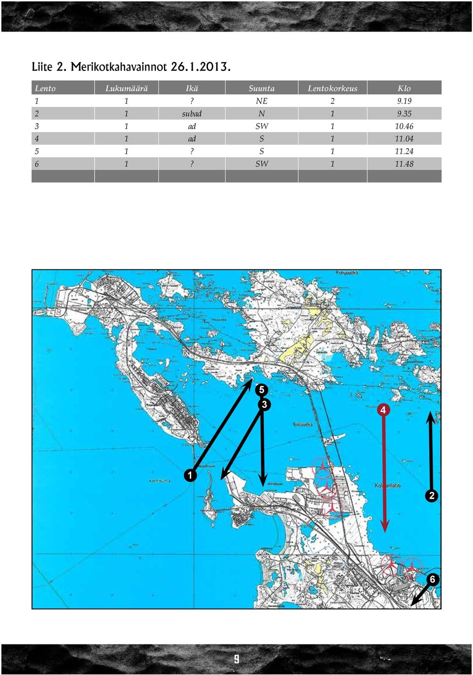 1? NE 2 9.19 2 1 subad N 1 9.35 3 1 ad SW 1 10.