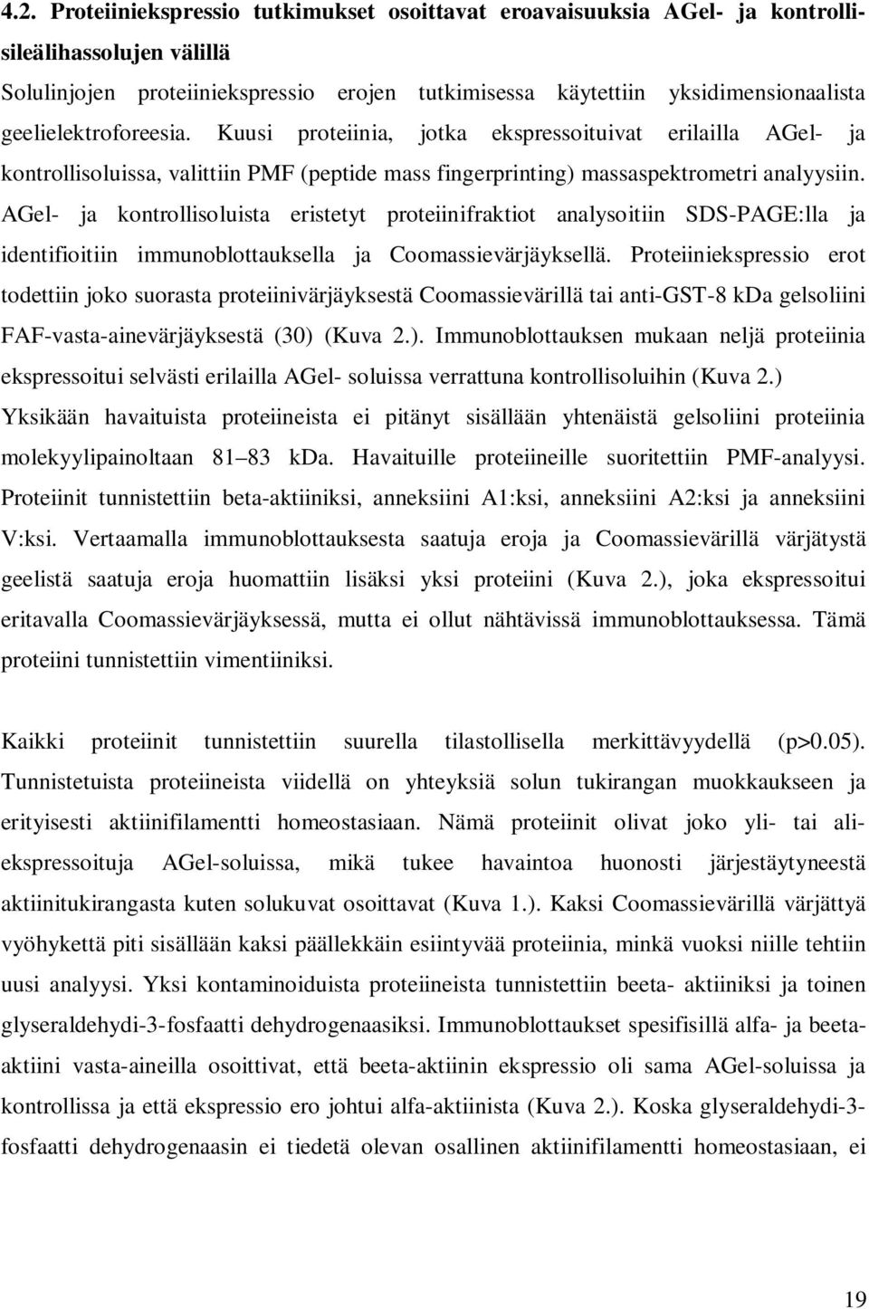 AGel- ja kontrollisoluista eristetyt proteiinifraktiot analysoitiin SDS-PAGE:lla ja identifioitiin immunoblottauksella ja Coomassievärjäyksellä.