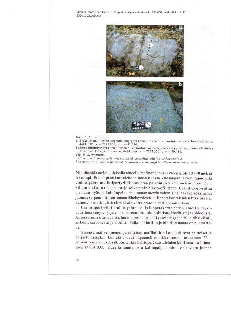 b) Serpentiniittiytynyt komatiittinen oliviiniortokumulaatti, jossa nakyy metamorfisten oliviinien pseudomorfooseja. Niemiaho, 4414 06A, x = 7153.550, y = 4470.480. Fig. 6. Serpentinite.